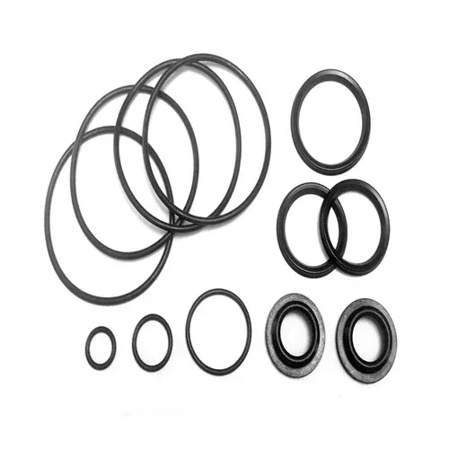 DSO Replacement EPDM Seal Service Kits for Tuchenhagen Shut -Off Valve
