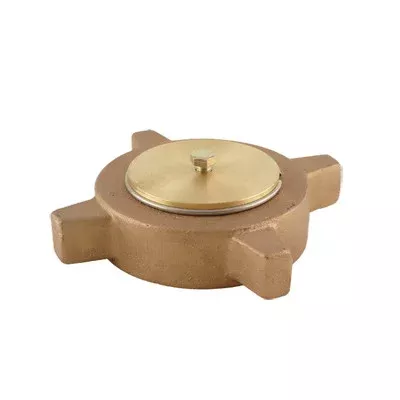 Emerson Fisher 4 1/4 in. Brass Female ACME Cap