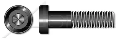 M16-2.0 X 30mm DIN 7984, Metric, Low Head Hex Socket Cap Screws, Hex Socket Drive, Class 10.9 Steel, Plain, Unbrako