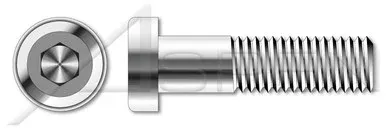 M5-0.8 X 35mm DIN 7984, Metric, Low Head Hex Socket Cap Screws, A2 Stainless Steel